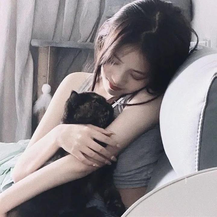 红盾先锋